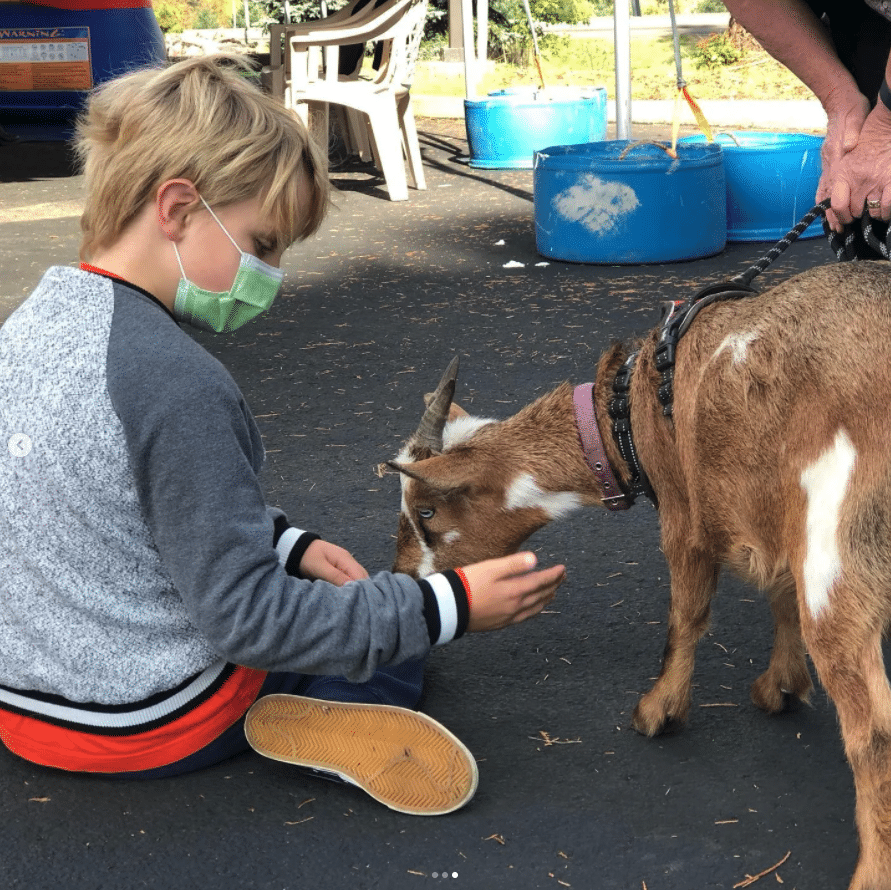 Little boy petting a goat at a pumpkin patch.