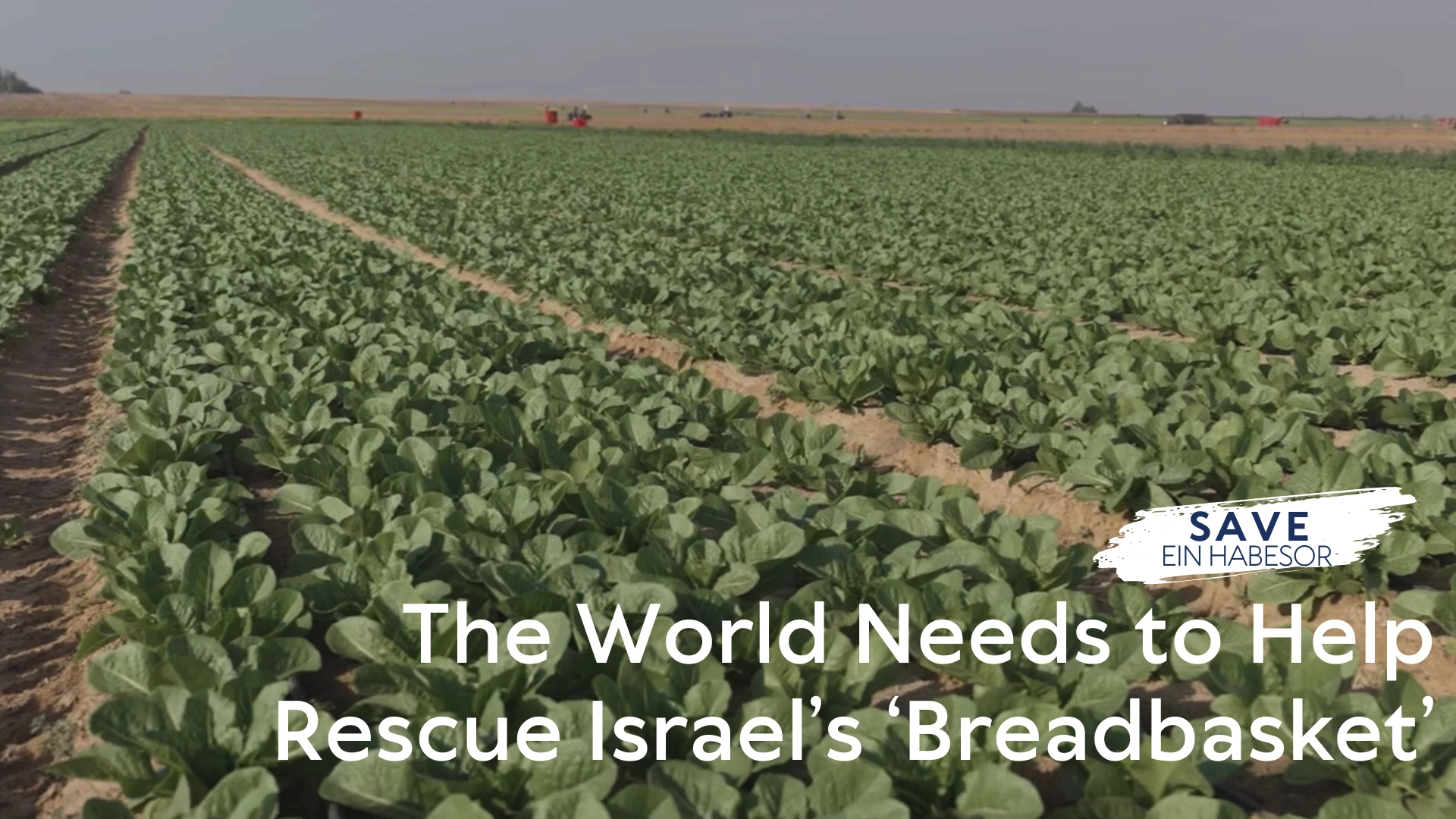 A farm field of crops background image with Save Ein Habesor text over it.