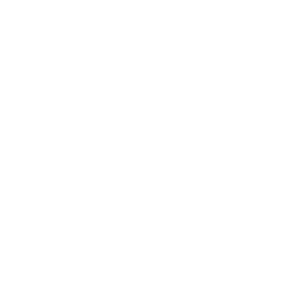 Apple Apple icon.