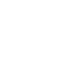 Spotify Spotify icon.